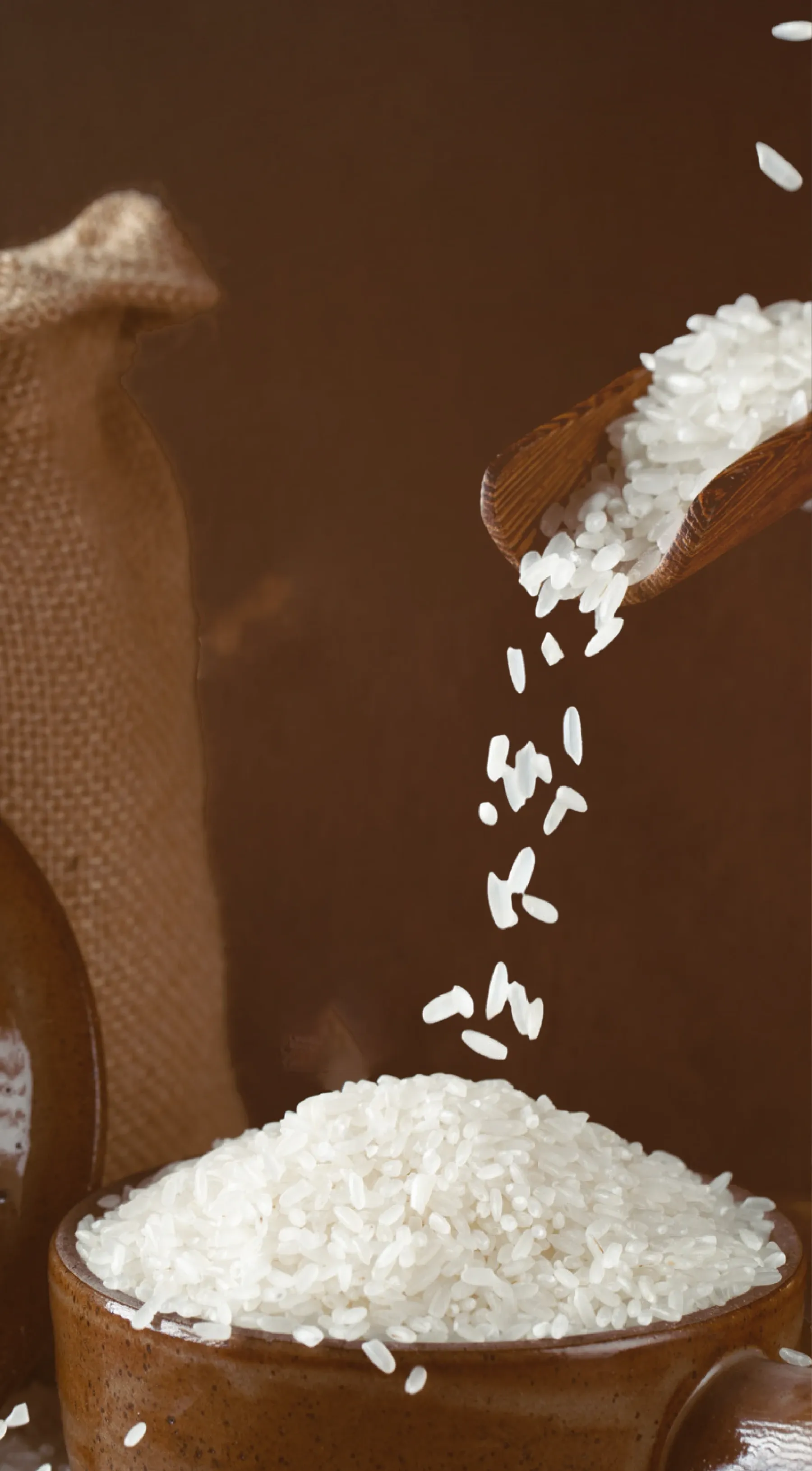 Rice Source